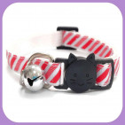 Kitten-263